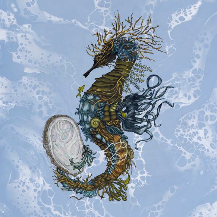 Lot de 4 Sous-Verres - Collection Algues 1