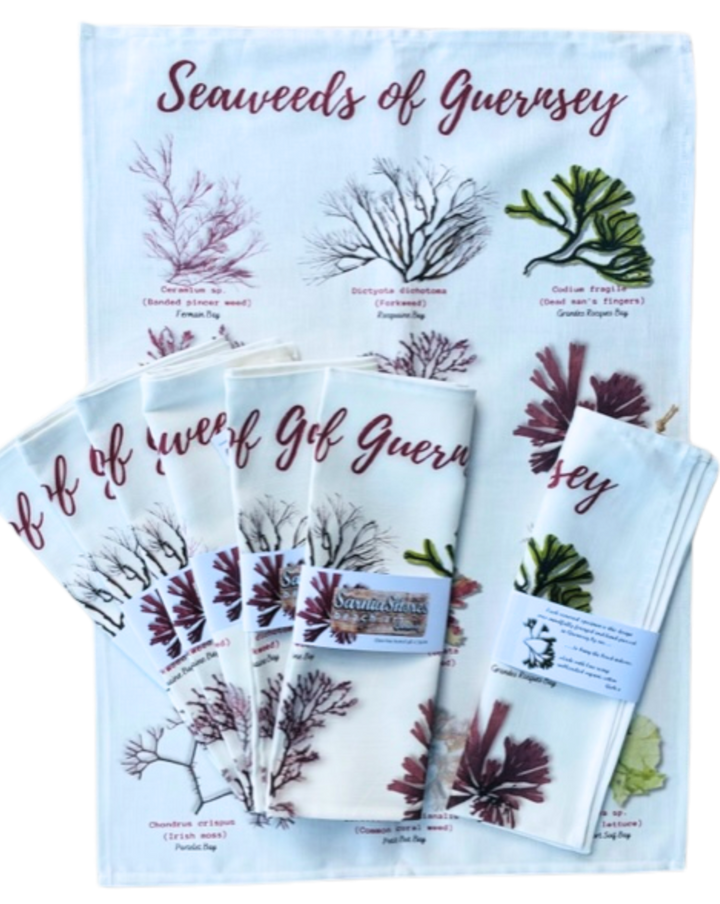 Seaweeds Teatowel