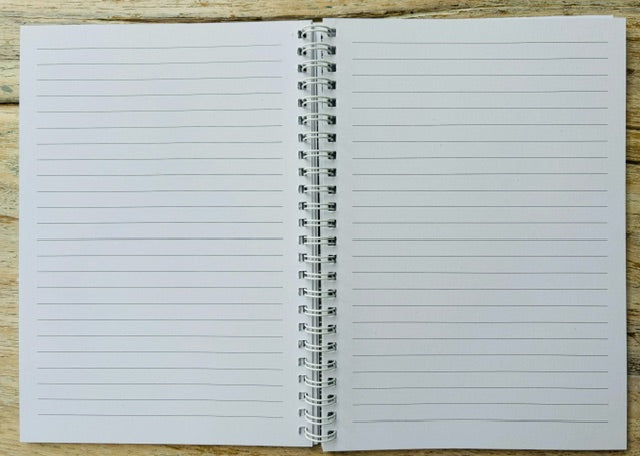 Seashells of Guernsey Notebook