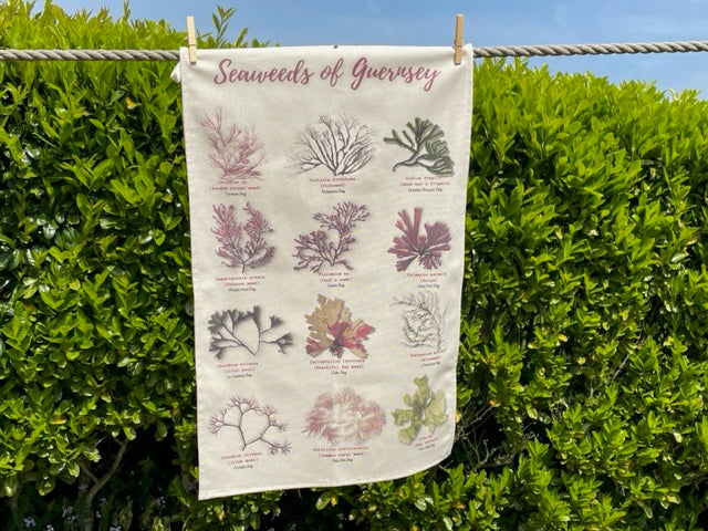 Seaweeds Teatowel