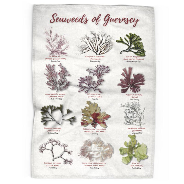 Seaweeds Teatowel