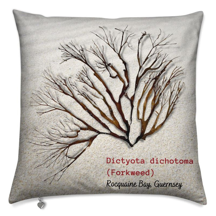 Coussin de fourche
