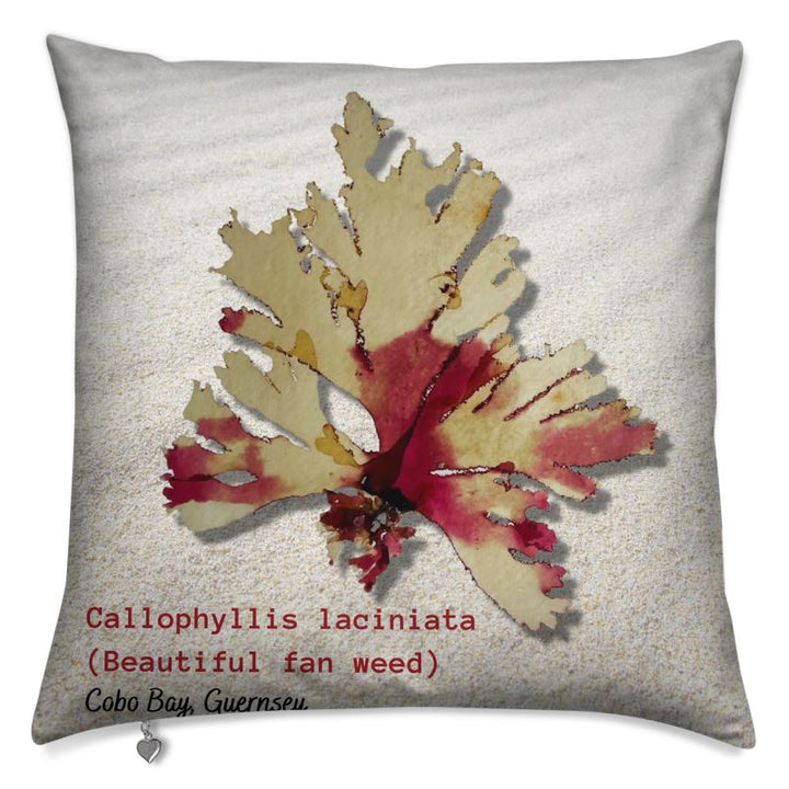 Magnifique coussin de mauvaises herbes en éventail