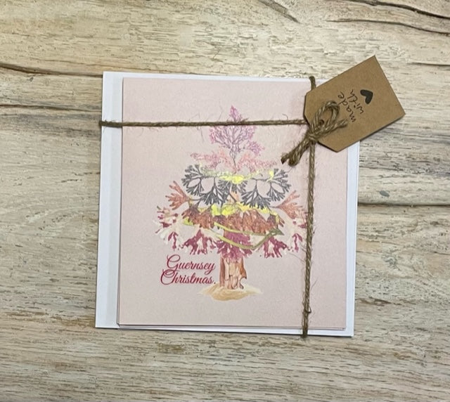 Pack de 6 cartes de Noël - Motif algues