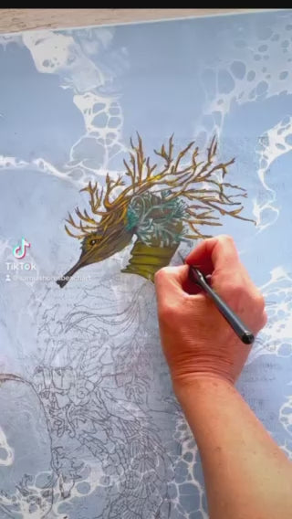Impression d’art : Cheval d’algues et coquille d’Ormer